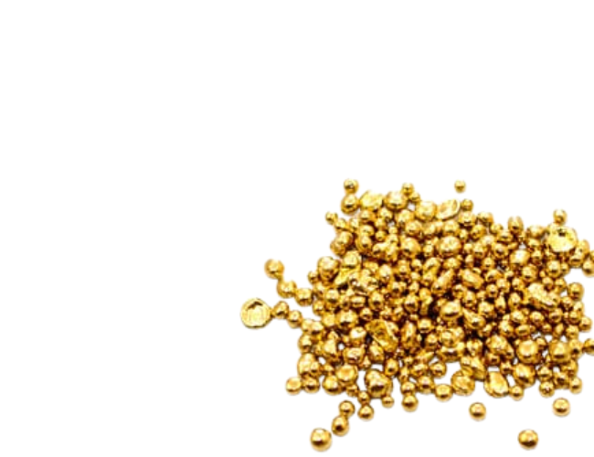 idj website pictures (1)