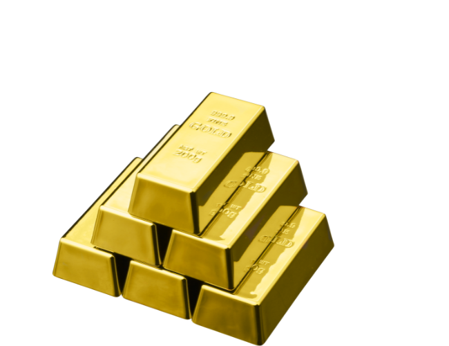 idj website pictures (7)